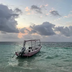 Affittacamere Home's Jungle Puerto Morelos 20 Minutes From The Airport, Cancún